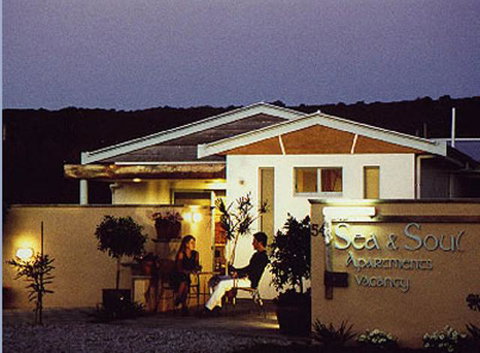 Sea & Soul Beachside Apartments - Accommodation Noosa 6