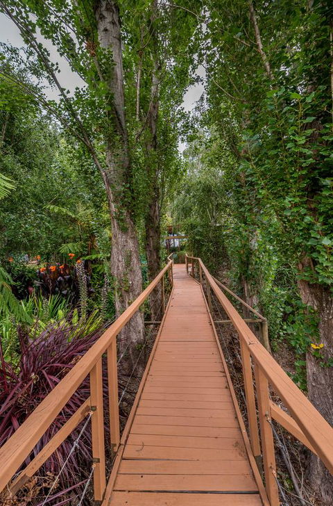 Chimes Spa Retreat - Accommodation Noosa 25