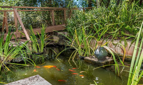 Chimes Spa Retreat - Accommodation Noosa 27