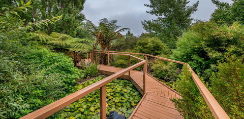 Chimes Spa Retreat - Accommodation Noosa 23