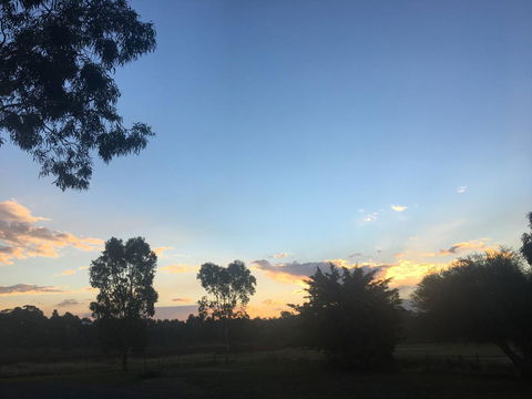 Junee Motor Inn - Accommodation Noosa 26