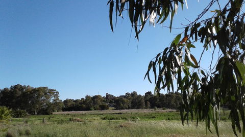 Junee Motor Inn - Accommodation Noosa 8