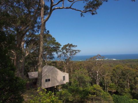 Bundle Hill Cottages - Accommodation Noosa 17