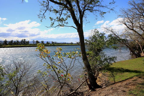 Terara Riverside Retreat - Accommodation Noosa 27