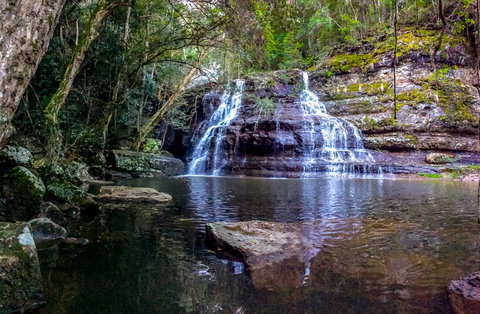 Sinclairs Country Retreat - Accommodation Noosa 13