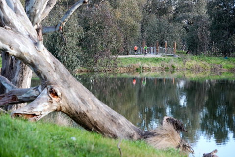 Mercure Albury - Accommodation Noosa 15