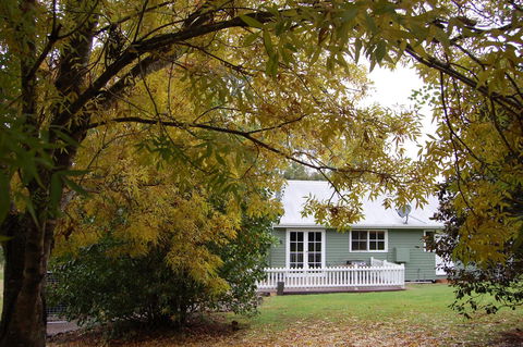 Cadair Cottages - Accommodation Noosa 18