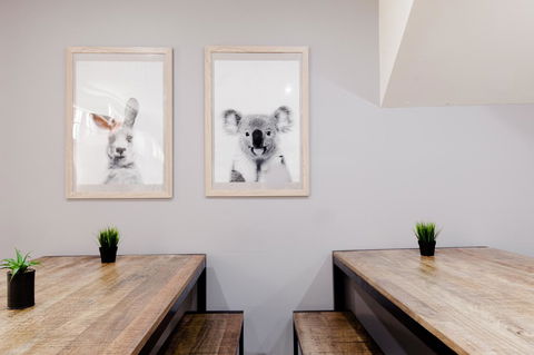 Mad Monkey Broadway - Accommodation Noosa 0