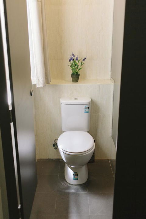 Mad Monkey Broadway - Accommodation Noosa 32