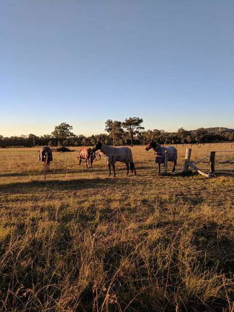 Madigan Wine Country Cottages - Accommodation Noosa 8