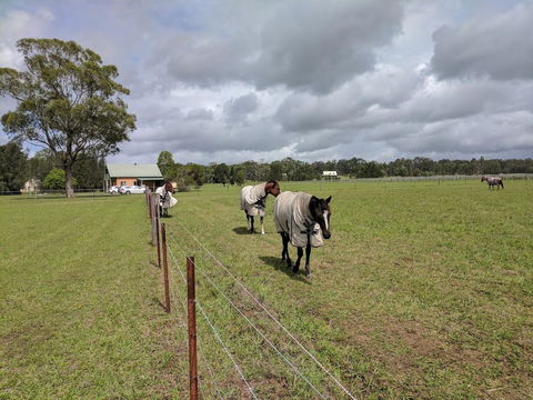 Madigan Wine Country Cottages - Accommodation Noosa 9