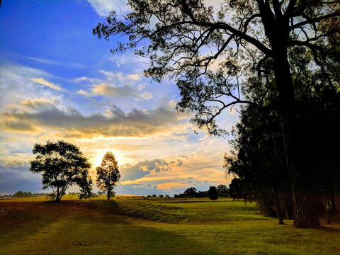 Madigan Wine Country Cottages - Accommodation Noosa 11