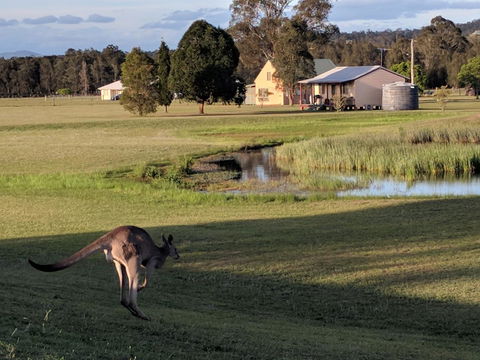Madigan Wine Country Cottages - Accommodation Noosa 6