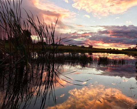 Madigan Wine Country Cottages - Accommodation Noosa 16