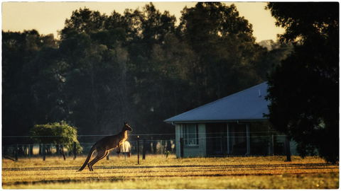 Madigan Wine Country Cottages - Accommodation Noosa 5