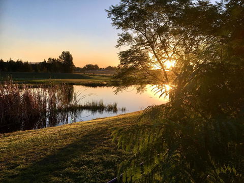 Madigan Wine Country Cottages - Accommodation Noosa 17