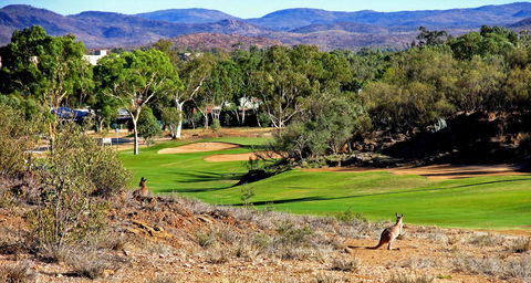 Desert Palms Alice Springs - Accommodation Noosa 30