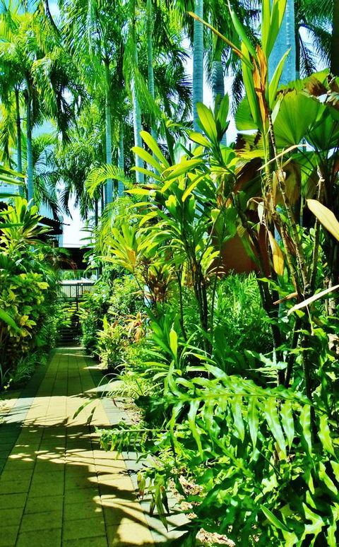 Palms City Resort - Accommodation Noosa 14