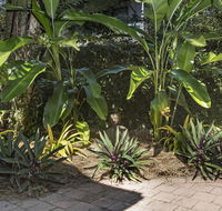 Nineteen on Nudl - Accommodation Noosa