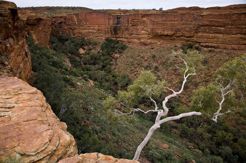Kings Creek Station - Accommodation Noosa 15