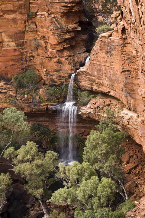 Kings Creek Station - Accommodation Noosa 0