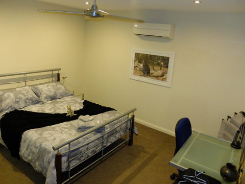 Rock Wallaby - Accommodation Noosa 9