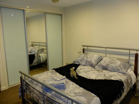 Rock Wallaby - Accommodation Noosa 14