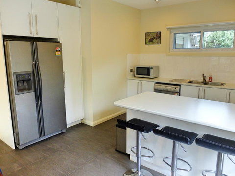 Rock Wallaby - Accommodation Noosa 1