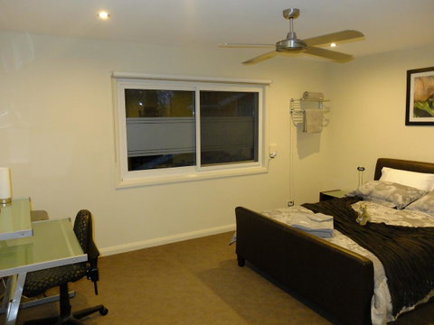Rock Wallaby - Accommodation Noosa 6
