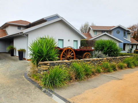 Rock Wallaby - Accommodation Noosa 5