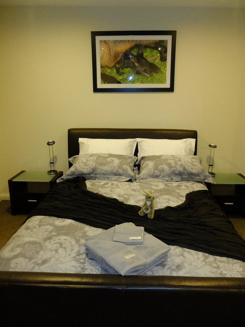 Rock Wallaby - Accommodation Noosa 18