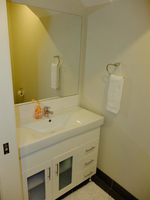 Rock Wallaby - Accommodation Noosa 15