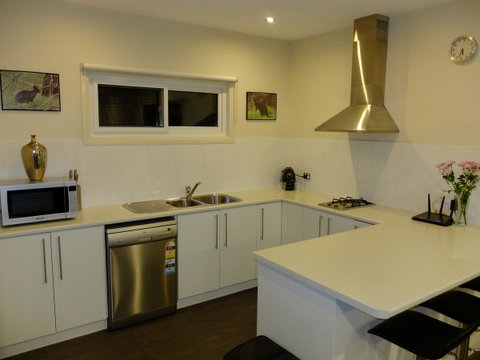 Rock Wallaby - Accommodation Noosa 12