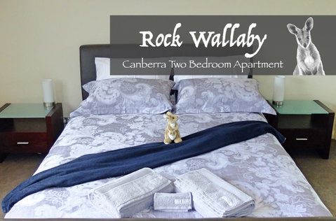 Rock Wallaby - Accommodation Noosa 4