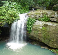 Buderim Forest Hideaway - Accommodation Noosa