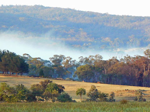 Candlebark Retreat - Accommodation Noosa 0