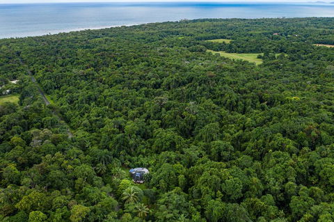 Cape Tribulation Holiday House - Accommodation Noosa 1