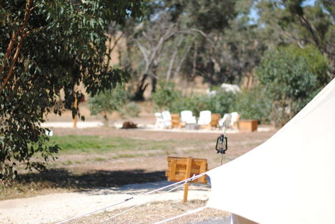 Cosy Tents - Daylesford - Accommodation Noosa 3