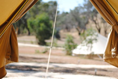 Cosy Tents - Daylesford - Accommodation Noosa 1