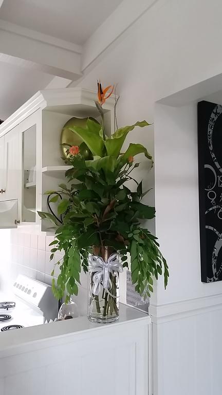 Creek Cottage Bed And Breakfast - Accommodation Noosa 1