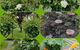 Creek Cottage Bed And Breakfast - thumb 3