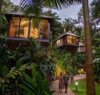Daintree Ecolodge - Accommodation Noosa