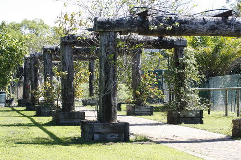 Daintree Wild Bed & Breakfast - Accommodation Noosa 2