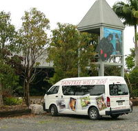 Daintree Wild Bed  Breakfast - Accommodation Noosa