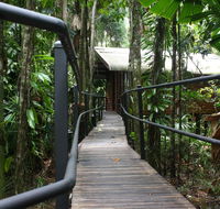 Daintree Wilderness Lodge - Accommodation Noosa