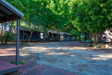 Dorrigo Mountain Holiday Park - Accommodation Noosa 1