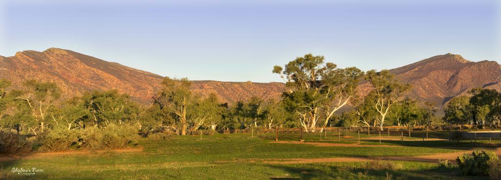 Flinders Ranges SA Accommodation Noosa