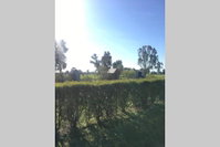 Book Benalla Accommodation Vacations Accommodation Noosa Accommodation Noosa