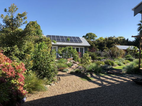 Fig Tree Cottage - Accommodation Noosa 1