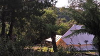 Book Zeehan Accommodation Vacations Accommodation Noosa Accommodation Noosa